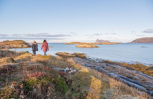 Arctic Roadtrip: fjords with scenic picnic | Private