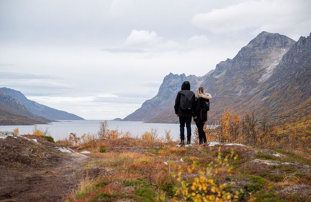 Arctic Roadtrip: fjords with scenic picnic | Private