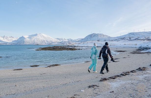 Arctic Roadtrip: fjords with scenic picnic | Sightseeing