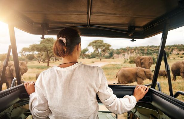 Full Day Exquisite Pilanesberg Safari from Johannesburg