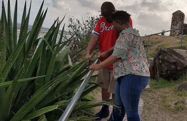 Half-day Tour to St.Maarten Best Island
