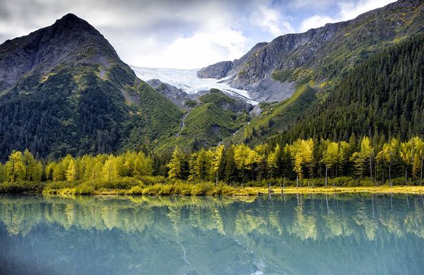 Valley of Glaciers Experience with Portage Glacier Cruise and Wildlife Tour