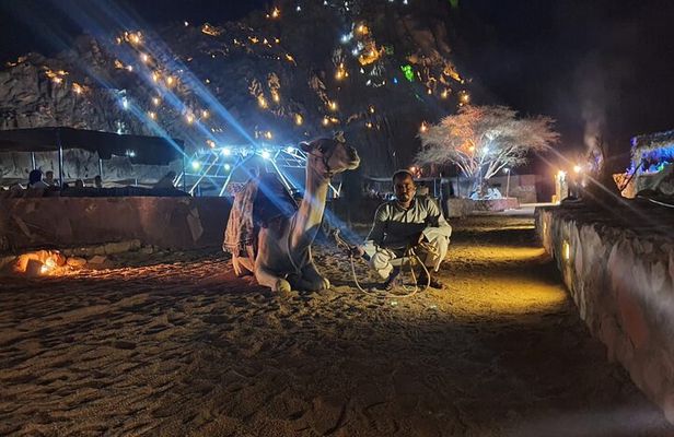 Sharm El Sheikh: ATV Quad Safari With Camel Ride, Dinner & Show