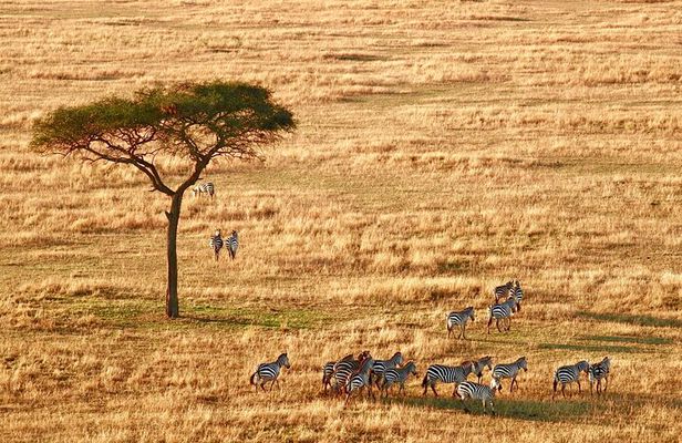 4-Day Camping on the Big Five Private Safari