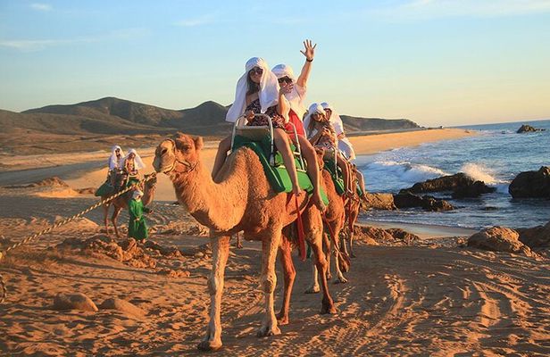 Camel Ride On The Beach at Los Cabos