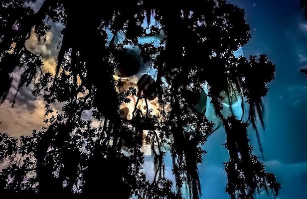 New Orleans Dead of Night Ghosts and Cemetery Bus Tour