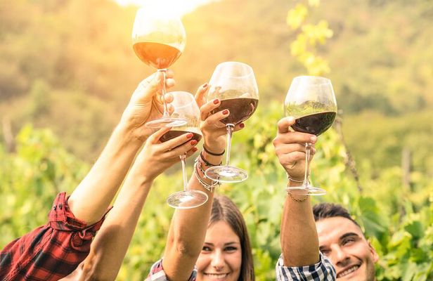Barossa and Hahndorf Wine Tasting and Sightseeing Tour