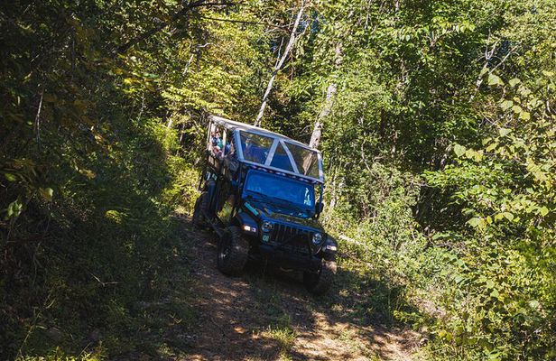 Smoky Mountains Newfound Gap Jeep Tour