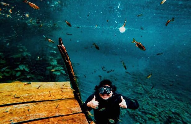 Discover "Crater Azul" & Its Crystal-Clear Waters On A Full-Day Tour From Flores