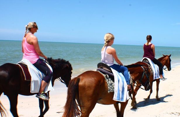 Horseback riding, shopping and lunch