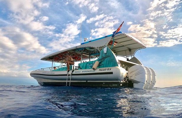 Manta Ray Snorkel Experience