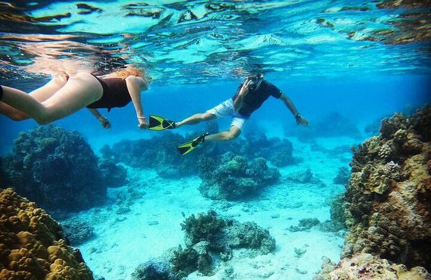 Mo'orea Half Day Private Tour with Snorkeling and Cruising the Lagoon