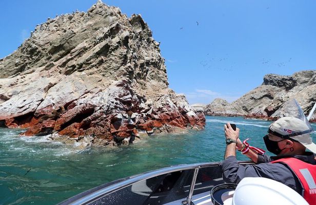 PARACAS! Ballestas Islands + Paracas National Reserve + Candelabro and much more