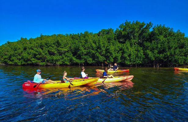 Siesta Key Kayak & Paddleboard Rentals | Midnight Pass Beach