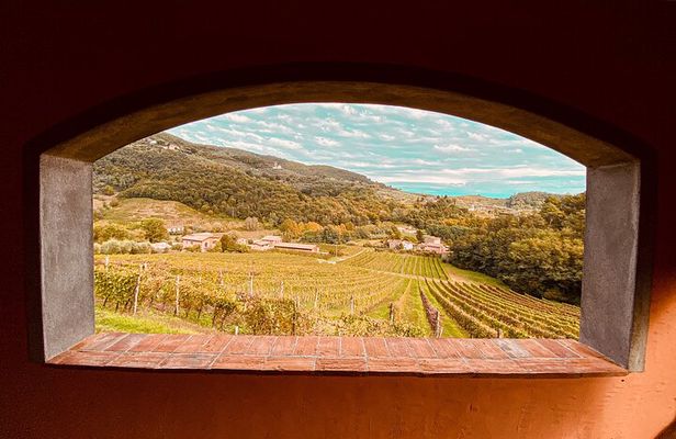 Lucca: Wine Tasting Experience - Tenuta Adamo Winery