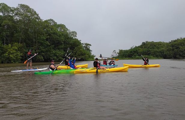 Kayaking Tour in Gandoca Lagoon throug mangrove forest