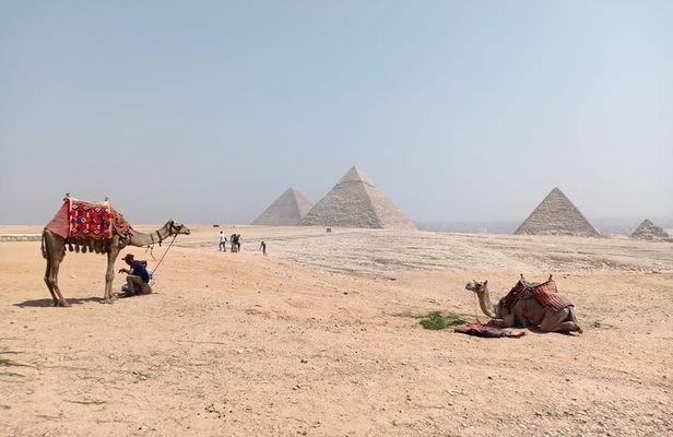 Full Day Tour to Explore Giza pyramids , Sakkara , Sphinx and Memphis