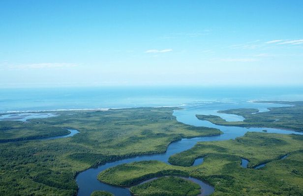One Day Tour To Térraba-Sierpe Mangrove By Boat From Sierpe
