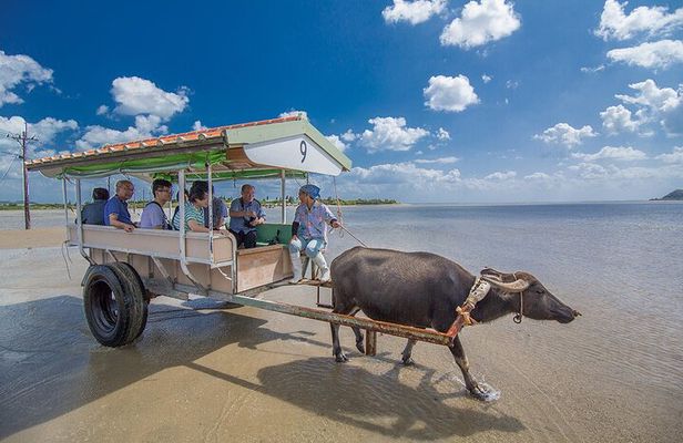 Okinawa Iriomote Island 1 Day Trip OK from Ishigaki Island!Complimentary photo data and equipment rental for Balas Island Snorkeling & Yufu Island Sightseeing