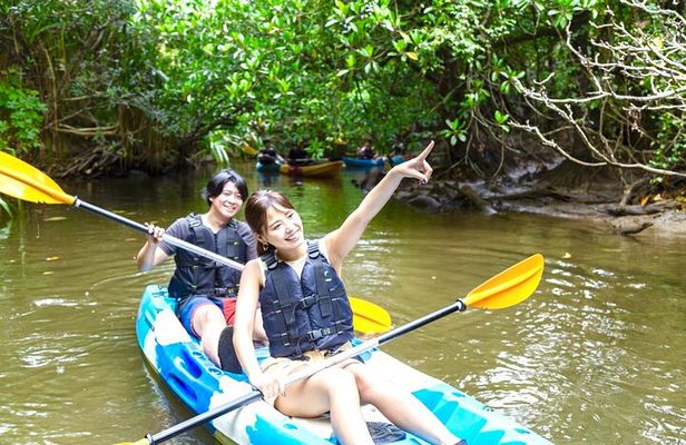 Okinawa Iriomote Mangrove SUP or Canoe Tour