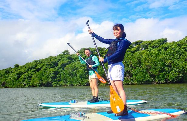Okinawa Ishigaki Mangrove SUP or Canoe Tour