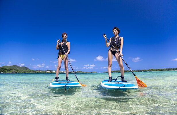 Ishigaki Phantom Island Snorkeling & Kabira Bay SUP or Canoeing