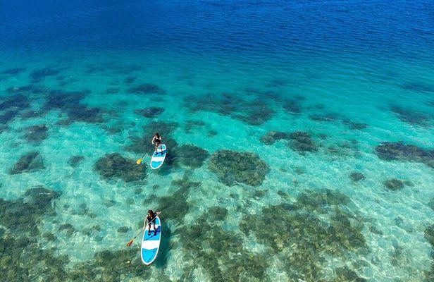 Okinawa Ishigaki Kabira Bay SUP or Canoe Tour
