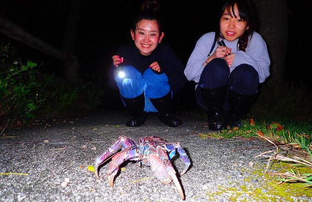 Okinawa Ishigaki Island Night Starry sky and Jungle night tour