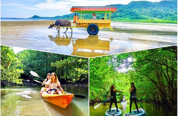 Okinawa Iriomote SUP or Canoe and Sightseeing in Yubujima Island