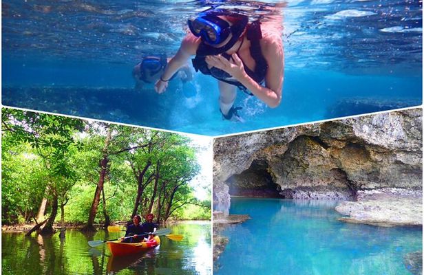 [Ishigaki]Mangrove SUP/Canoe + Blue Cave Snorkeling
