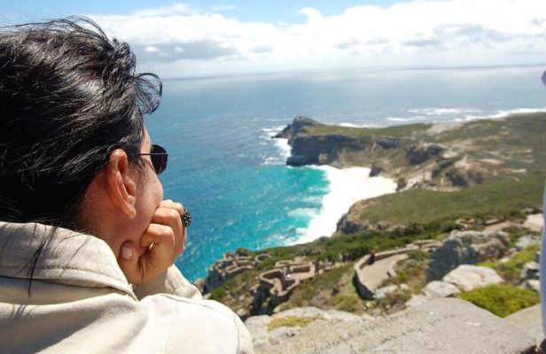 Private Cape of Good Hope and Penguins Tour with Luxury Mercedes or BMW Vehicle