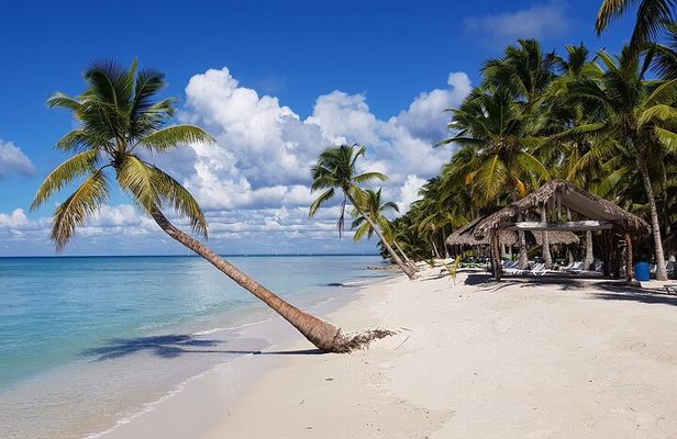 Full Day Tour to Saona Island by Catamaran and Speedboat