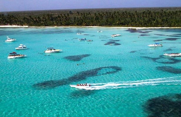 6 + 1 Full Day Isla Saona Tour and Snorkel in Natural Pool Mangroves punta cana