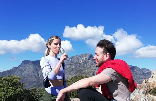 Lion's Head Hike - Private Tour