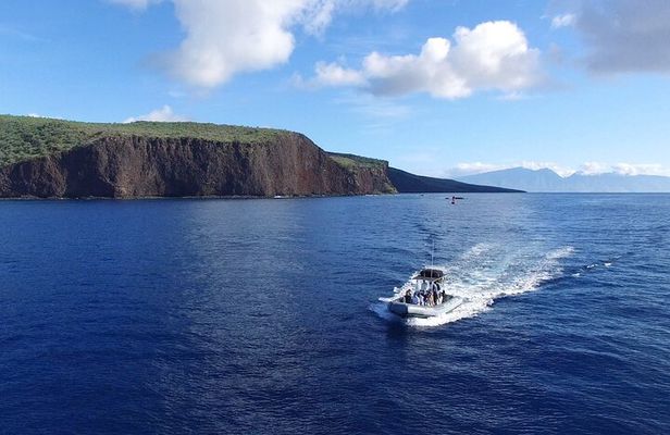 Maui to Lanai Semi-Private Eco Raft Snorkel & Dolphin Tour