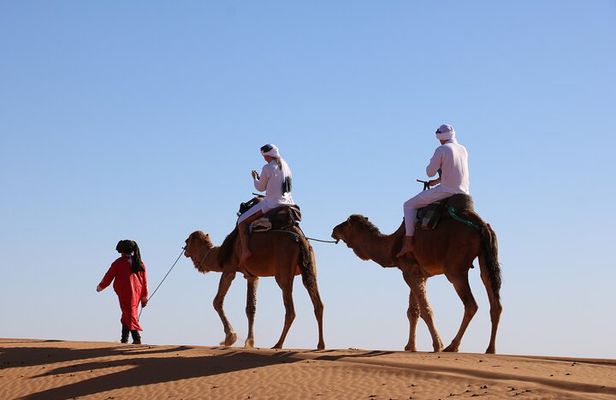 Private Desert Tour To Draa Valley And Zagora From Marrakech