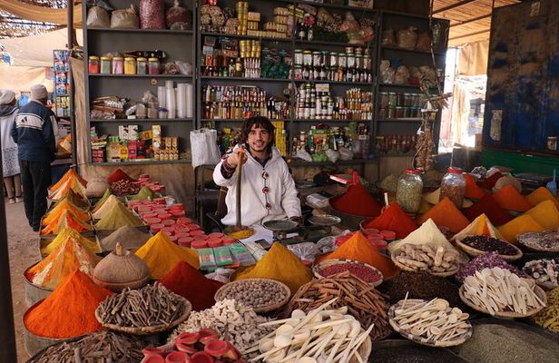 Half Day Guided City Tour Of Marrakech With A Professional Guide