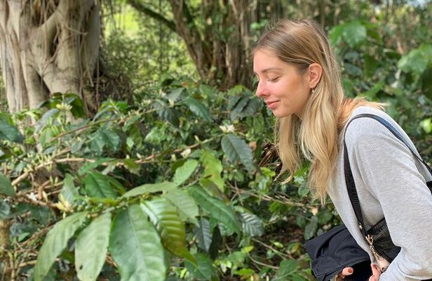 Be a farmer for one day (Coffee farm experience)
