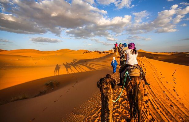 Shared Group Desert Tour Fes To Marrakech Via Merzouga 3 Days