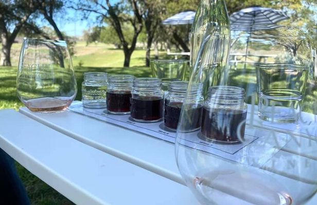 Private Tour of California's Central Coast (San Luis Obispo-Paso Robles-Cambria)