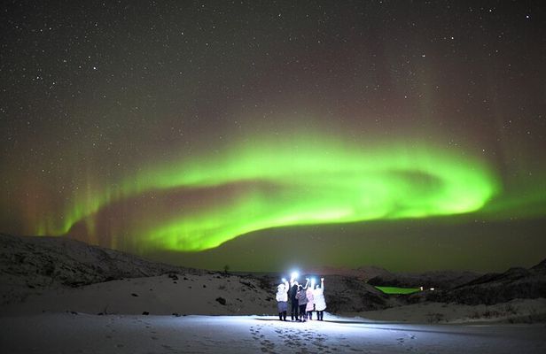 Northern Lights Photography Tour