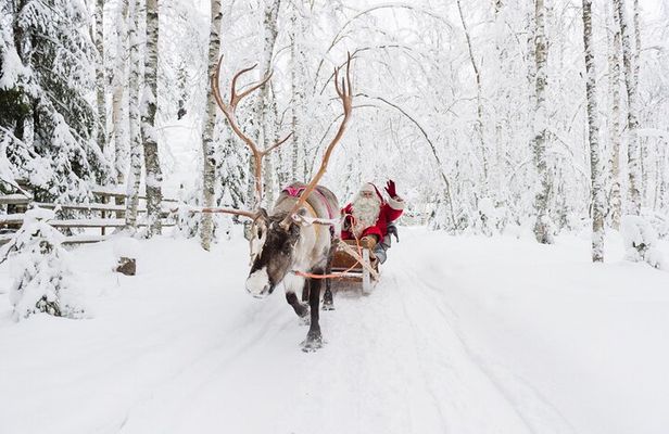 Reindeer Sleigh Ride and Farm Experience from Rovaniemi