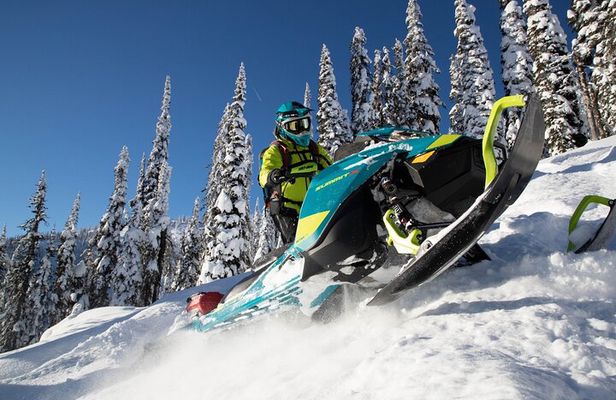 Snowmobile Safari through Lappish Forest from Rovaniemi