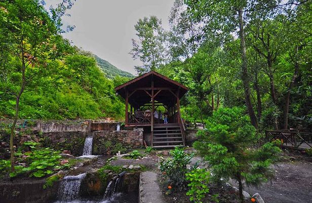 Full Day Tour Sapanca and Masukiye from Istanbul