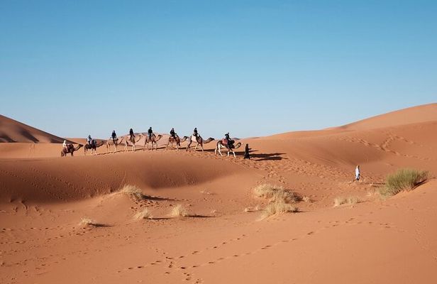 Private Marrakech Desert tour to Fes