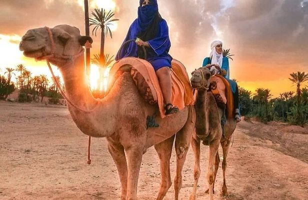 Agafay Desert Adventure : Quad Biking, Camel Riding, and Dinner