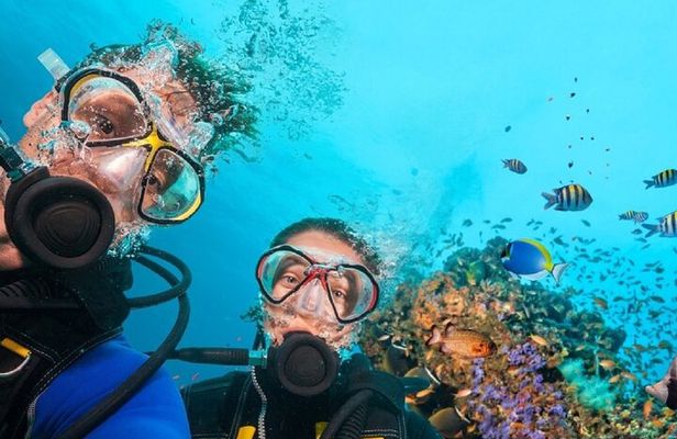 Full Day Fun Diving at Tulamben All inclusive