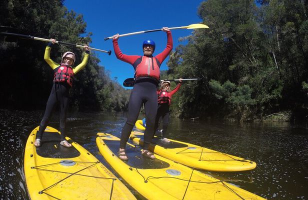 Blackwater Tubing Green Route Forest Adventure