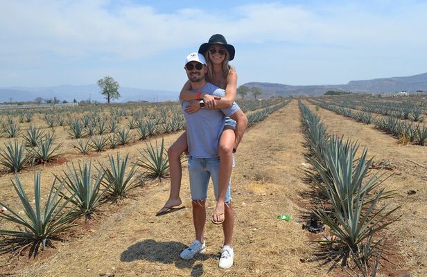 Full Day Guided Tour of Tequila and Amatitan with Tasting