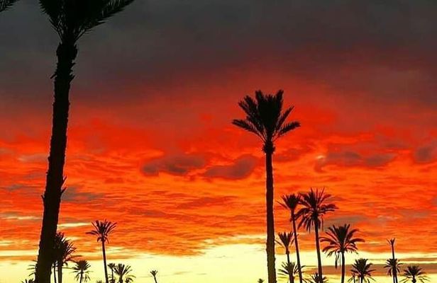 1 Day Excursion from Marrakech to Imlil